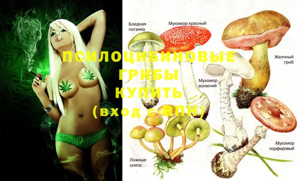 наркотики Медвежьегорск