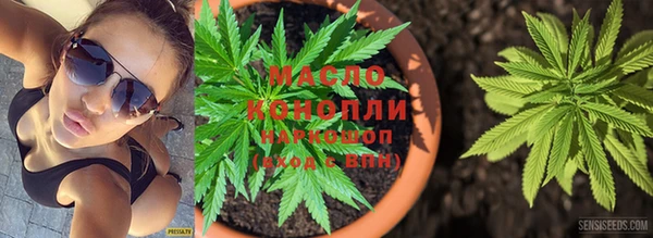 круглые Тайга