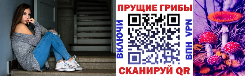 Галлюциногенные грибы GOLDEN TEACHER купить сайты Онега